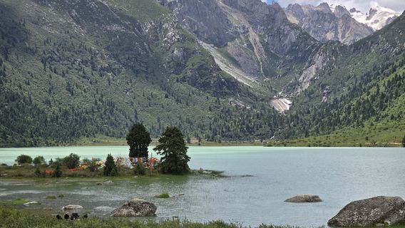 Zhuqing Dangzhen Cuo