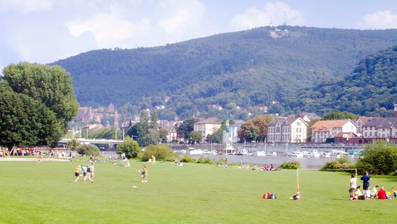 Neckarwiese Heidelberg