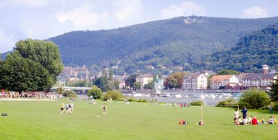 Neckarwiese Heidelberg