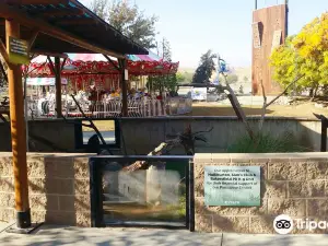 California Living Museum (CALM)