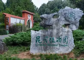 สวนพฤกษศาสตร์คุนหมิง