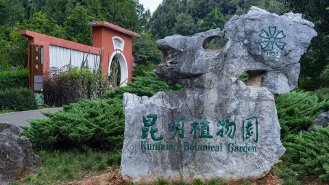 Kunming Botanical Garden attraction in Kunming