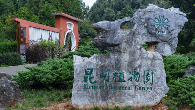 สวนพฤกษศาสตร์คุนหมิง