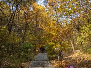 Zhuque Mountain Forest Park