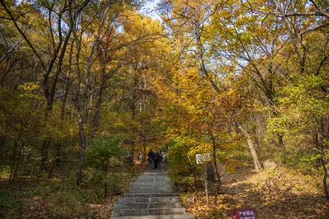 Zhuque Mountain Forest Park