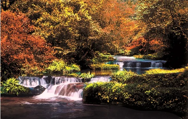 Fall Viewing Attractions