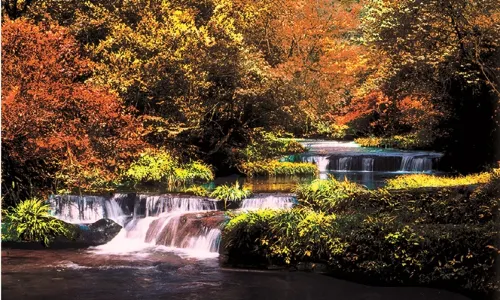 Tiantai Mountain Tourist Attraction