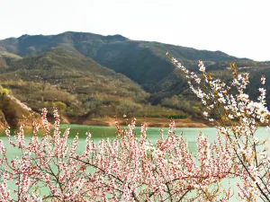 공동산
