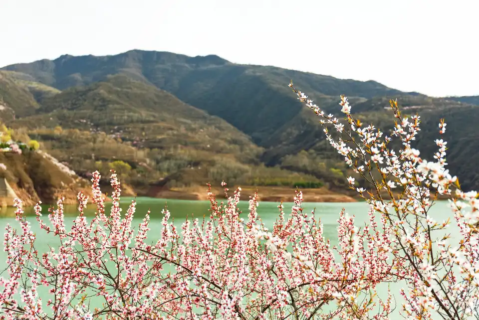 4_Kongtong Mountain