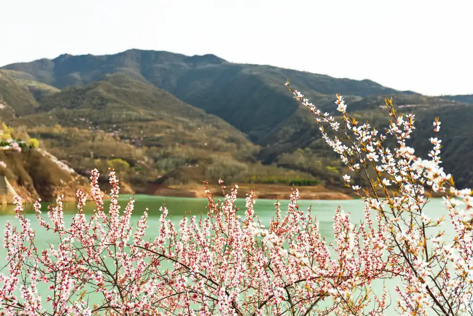 4_Kongtong Mountain