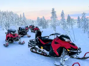 Rovaniemi Snowmobile Experience