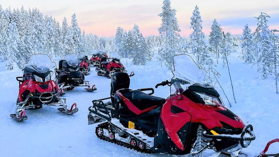Rovaniemi Snowmobile Experience