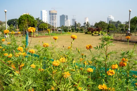Hanging Gardens