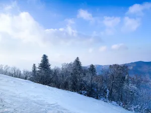 하얼빈 천항산 스키장