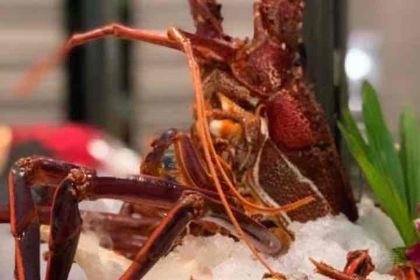 One Seafood Restaurant