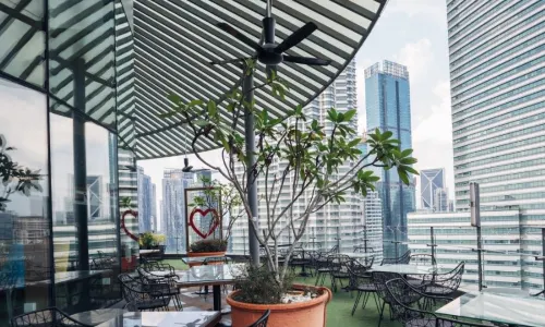 Envi Skydining