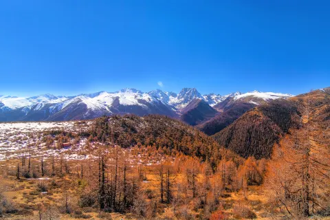 Baima Snow Mountain Yakou