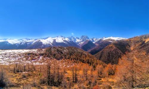 Baima Snow Mountain Yakou