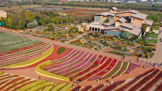 Guanglong Fuhai Bay Wetland Park