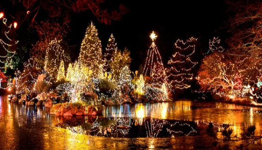 VanDusen Festival of Lights | Vancouver