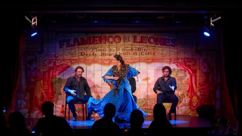 Flamenco Performances in Madrid attraction in Spain
