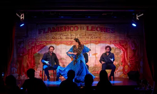 Flamenco Performances in Madrid