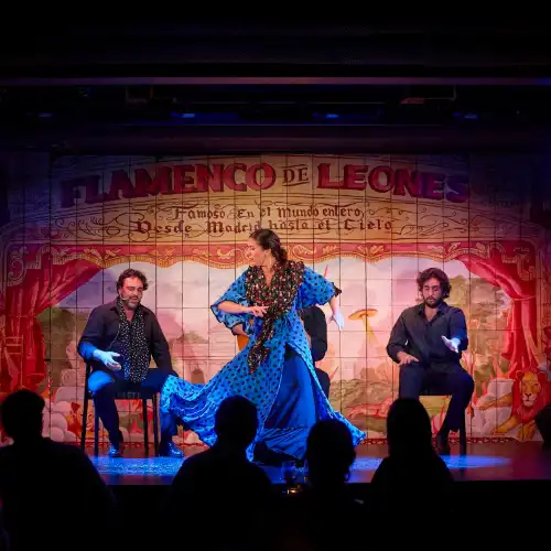 Popular Activities in Madrid