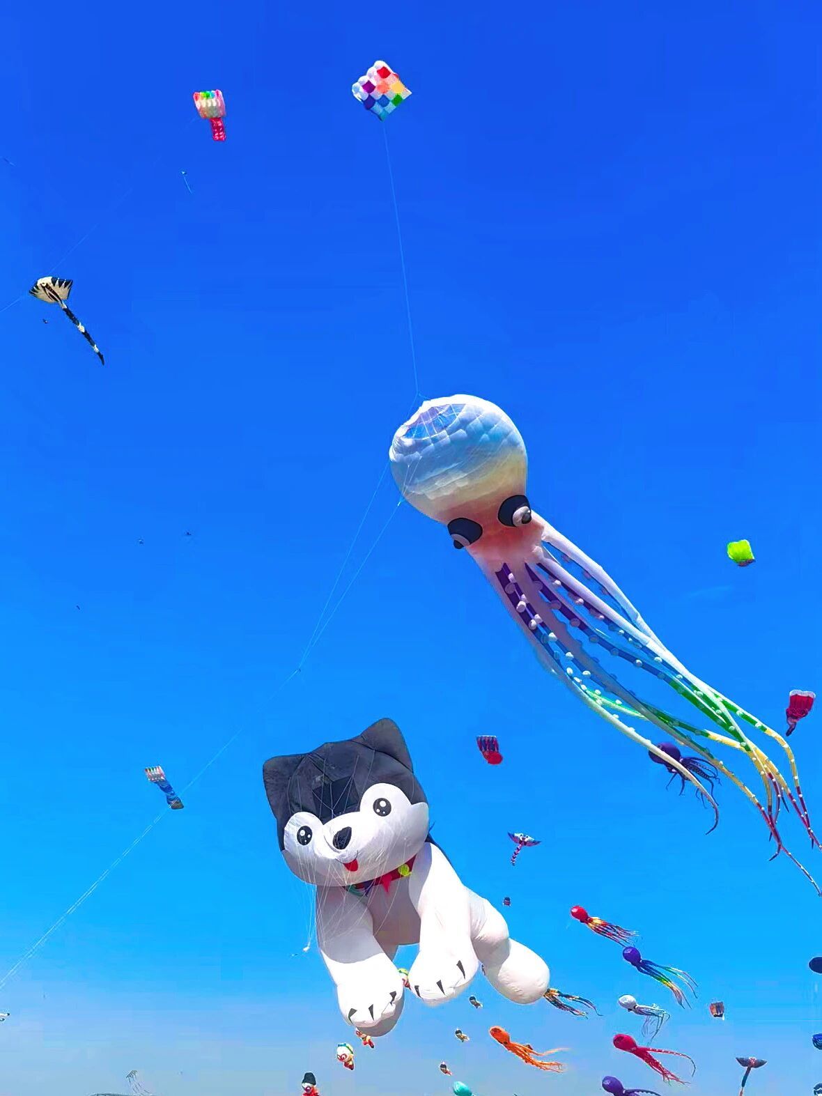 2026年呼和浩特春季文旅系列活動 | 呼和浩特