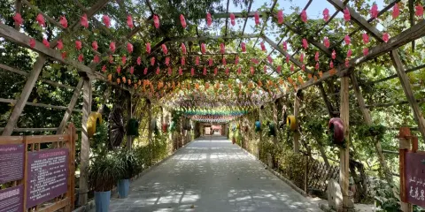 無花果王公園