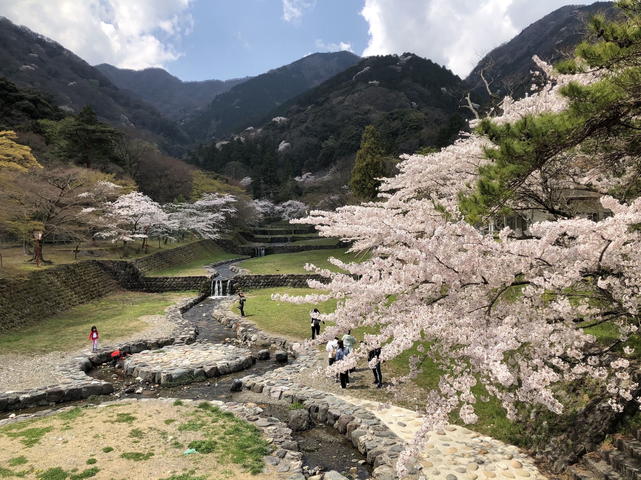 岐阜県 養老公園 評判 案内 トリップドットコム