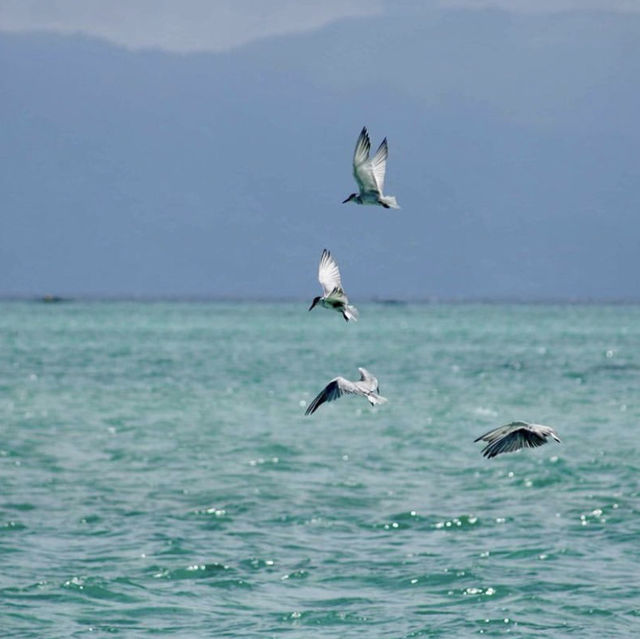 Manjuyod Sandbar