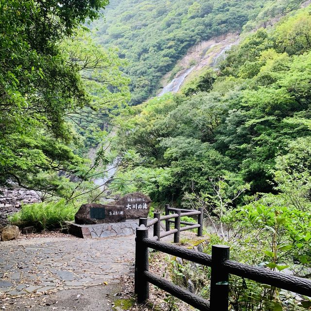 【屋久島】大川の滝