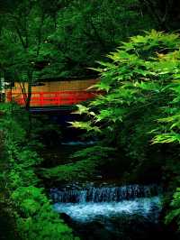 貴船川