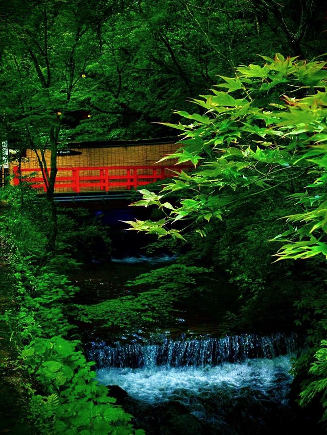 貴船川