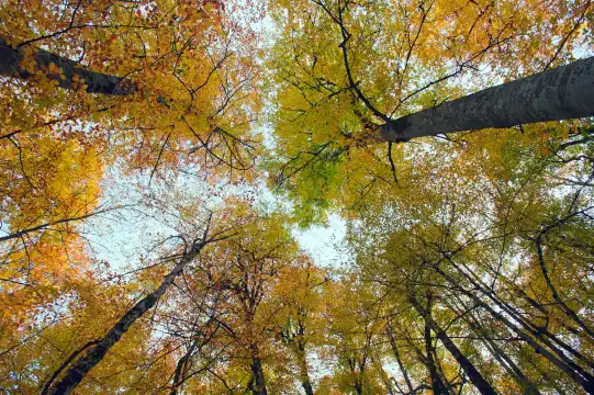 Hotels near Jiaxing Fanli Lake