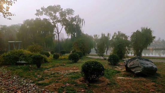 龍源湖公園風景非常優美，公園很大，公園的中心有一座風景宜人的