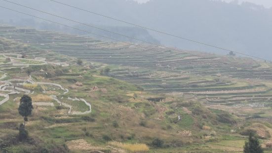 高要梯田在丹寨縣10公里左右的高要村，梯田層層疊疊，整座山都