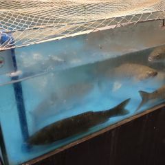 寓之味·五小厨 User Photo