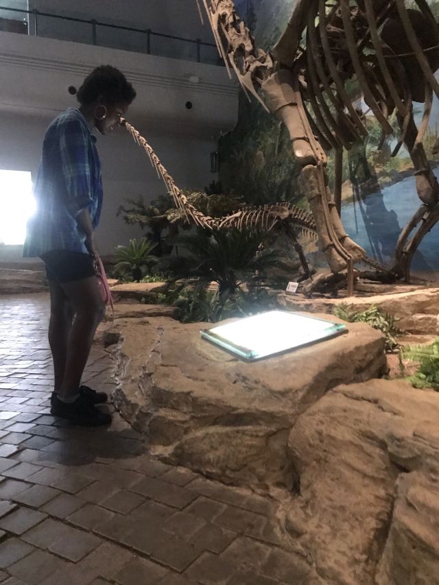 Zigong Dinosaur Museum