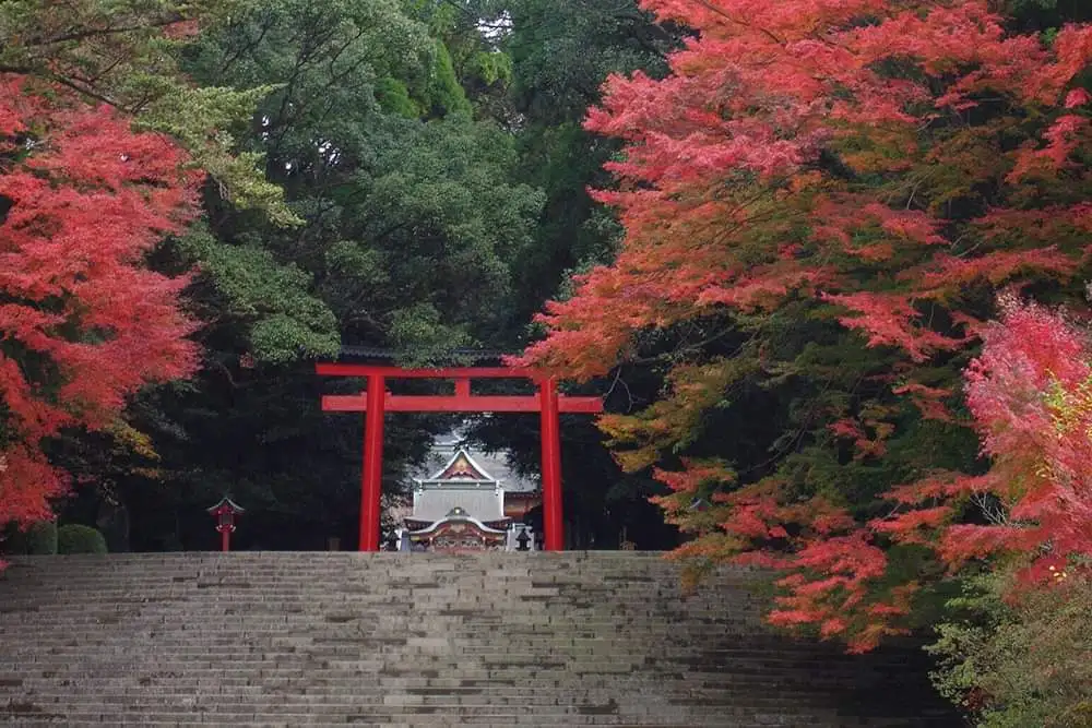 鹿兒島自由行 | 紅葉與登山好時節