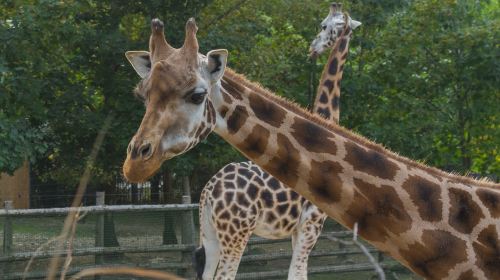 杭州動物園