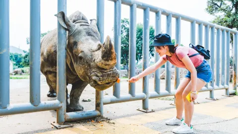 Wuxi Zoo · Taihu Lake Pleasure Garden attraction in Wuxi