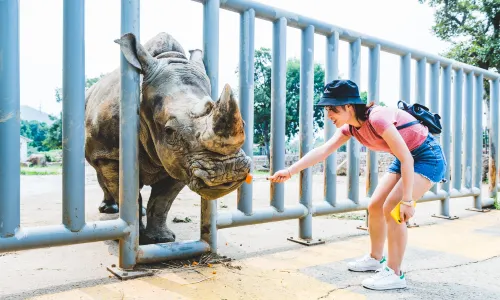 Wuxi Zoo · Taihu Lake Pleasure Garden