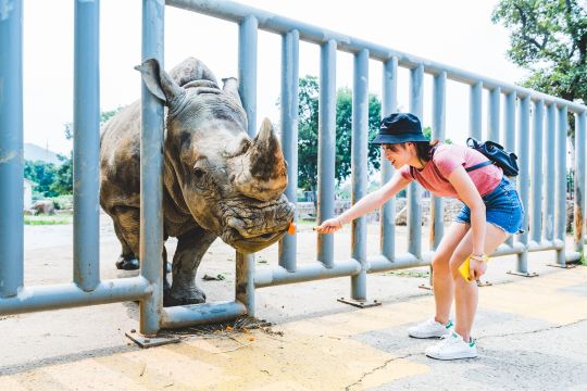 Wuxi Zoo · Taihu Lake Pleasure Garden