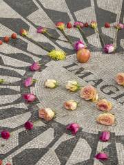 Strawberry Fields