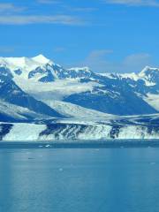 College Fjord