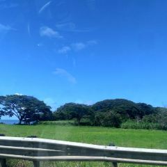 Island Vintage Coffee Waikiki User Photo
