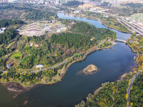 Xinpuxinqu Wetland Park