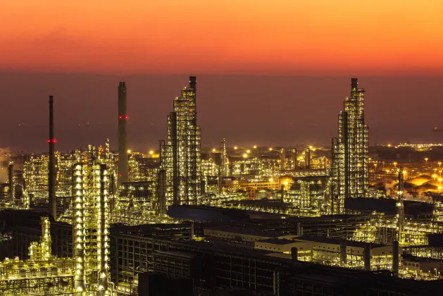 SHOWEASE PUSU homestay