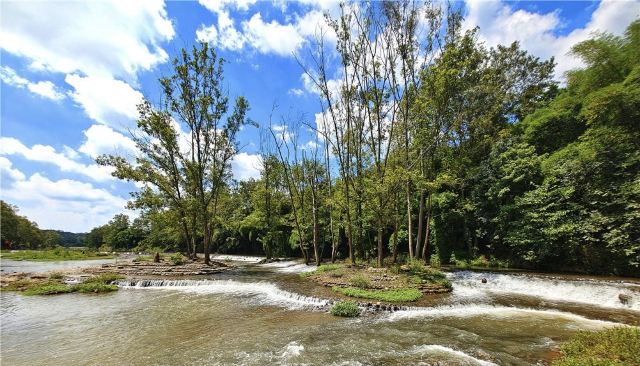 Bamboo Canyon Scenic Area (Jinji Valley)
